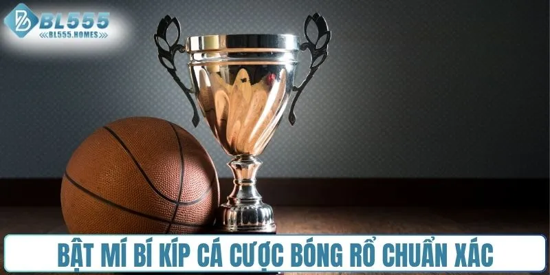 Bật mí bí kíp cá cược bóng rổ chuẩn xác