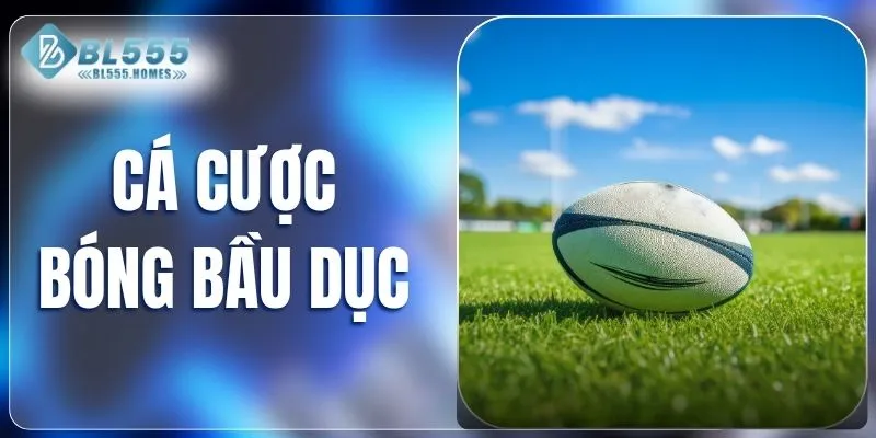 Cá cược bóng bầu dục