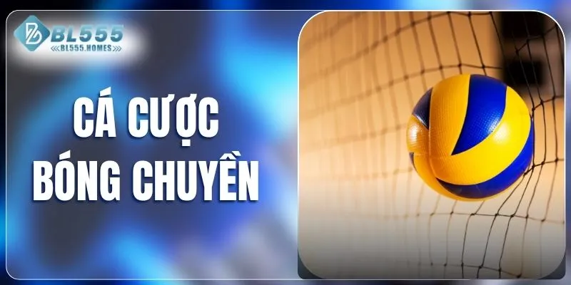 cá cược bóng chuyền