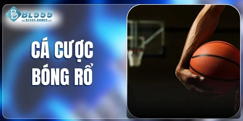 Cá cược bóng rổ