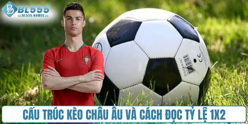 Cấu trúc kèo châu Âu và cách đọc tỷ lệ 1x2