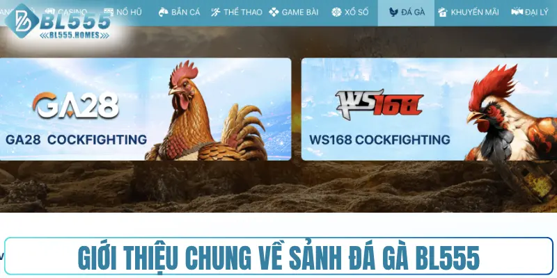 Giới thiệu chung về sảnh đá gà BL555