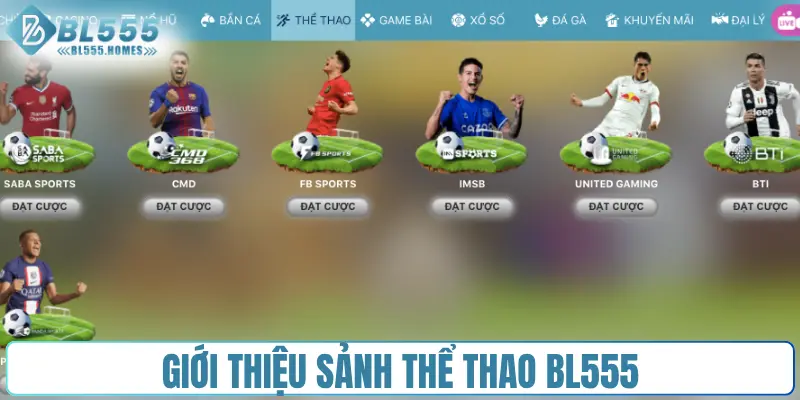 Giới thiệu sảnh thể thao BL555