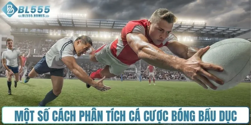 Một số cách phân tích cá cược bóng bầu dục