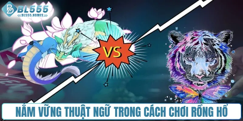 Nắm vững thuật ngữ trong cách chơi Rồng Hổ