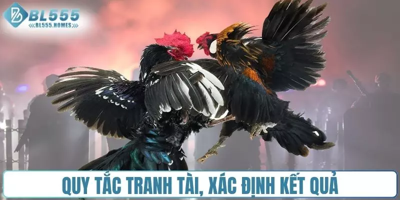 Quy tắc tranh tài và xác định kết quả thắng thua