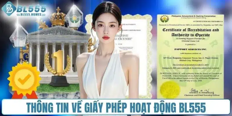 Thông tin về giấy phép hoạt động BL555