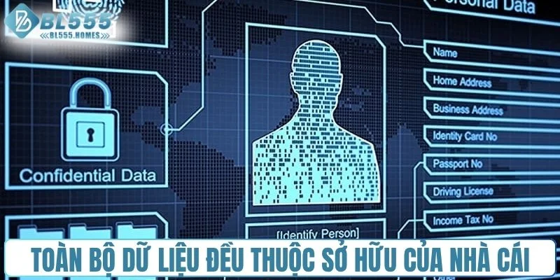 Toàn bộ dữ liệu đều thuộc sở hữu của nhà cái