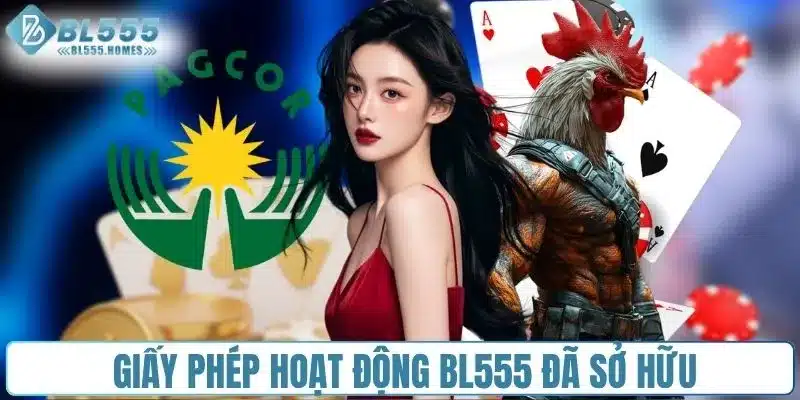 Top 3 giấy phép hoạt động BL555 đã sở hữu