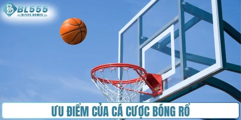 Ưu điểm của cá cược bóng rổ